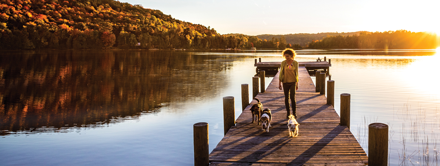 Woman walking on pier with dogs