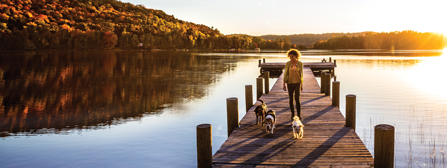 Woman walking on pier with dogs